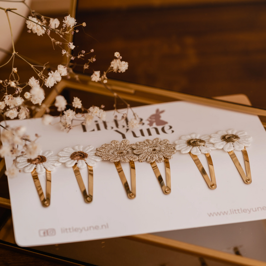 Haarspeldjes Basic Set